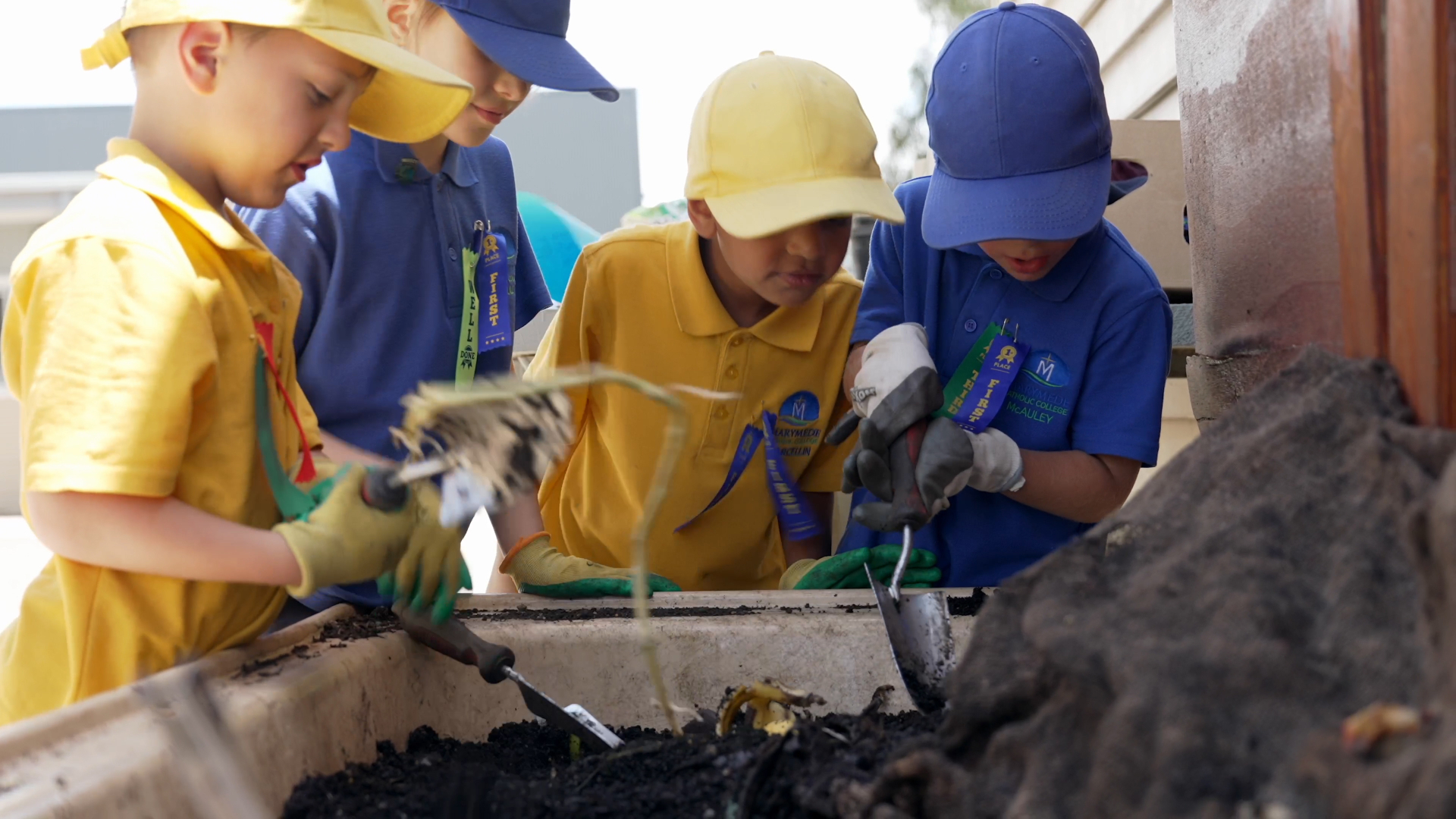 Fostering a Positive Culture and Environment